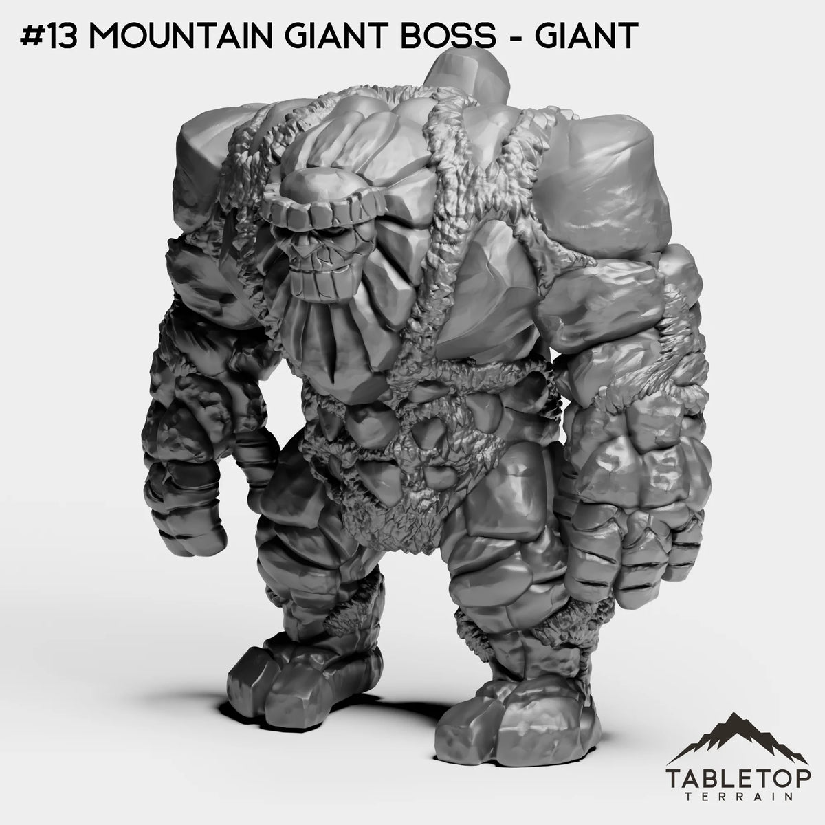 #13 Mountain Giant Boss - Giant
