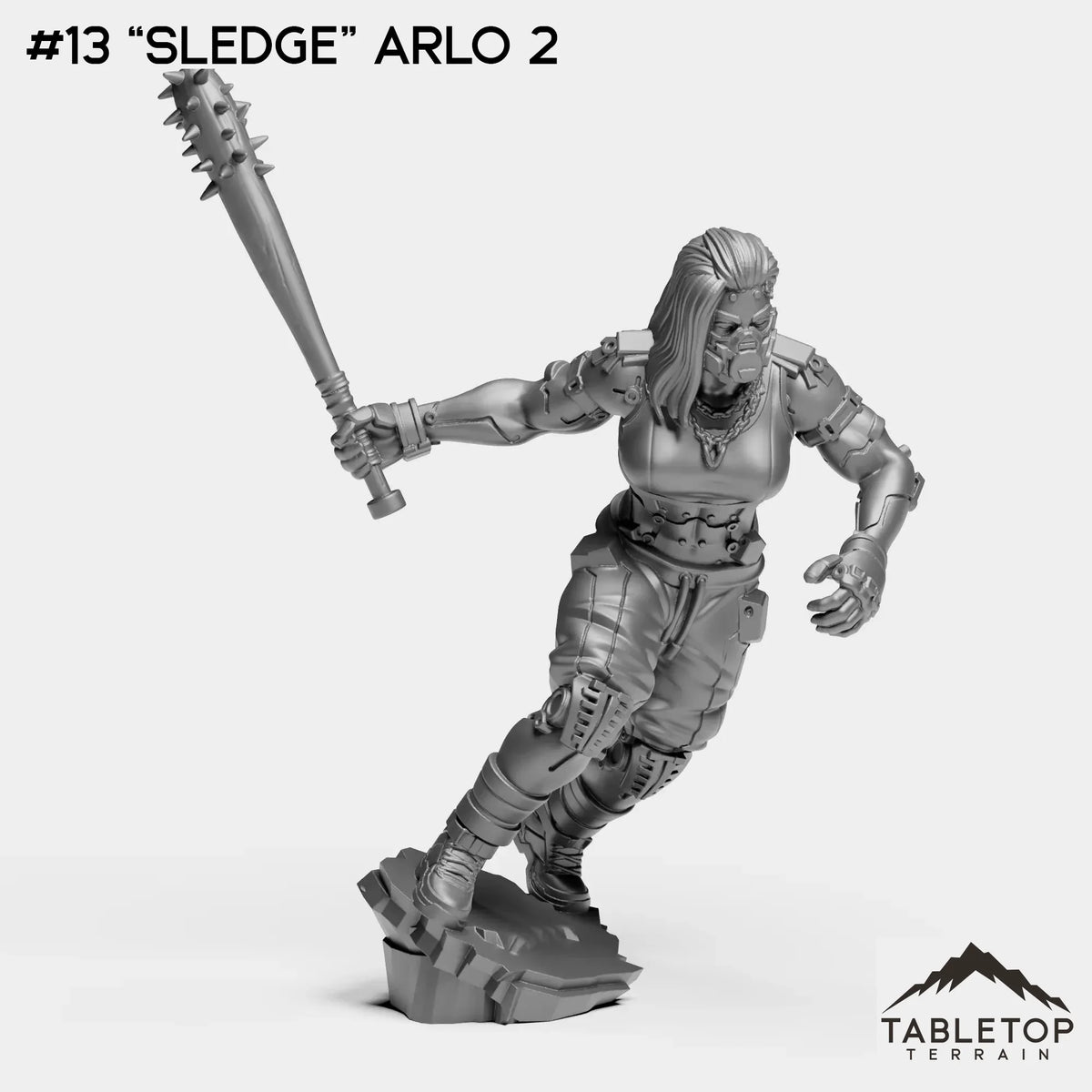 #13 “Sledge” Arlo 2