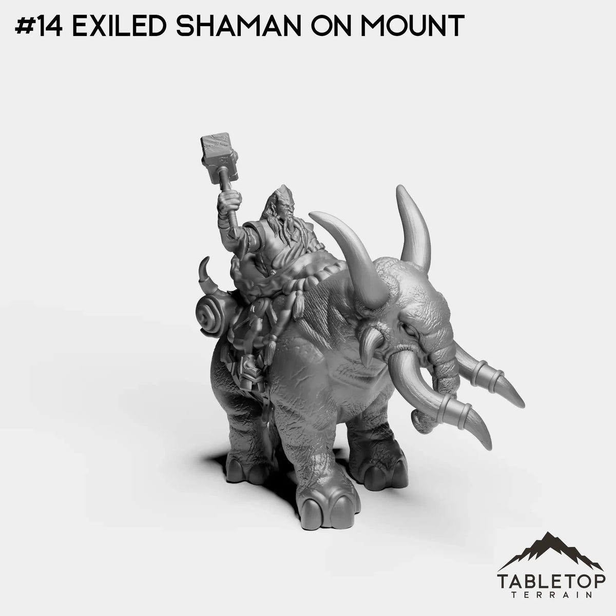 #14 Exiled Shaman on Mount