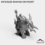 #14 Exiled Shaman on Mount