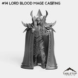 #14 Lord Blood Mage Casting