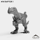 #14 Raptor 1