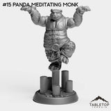 #15 Panda Meditating Monk