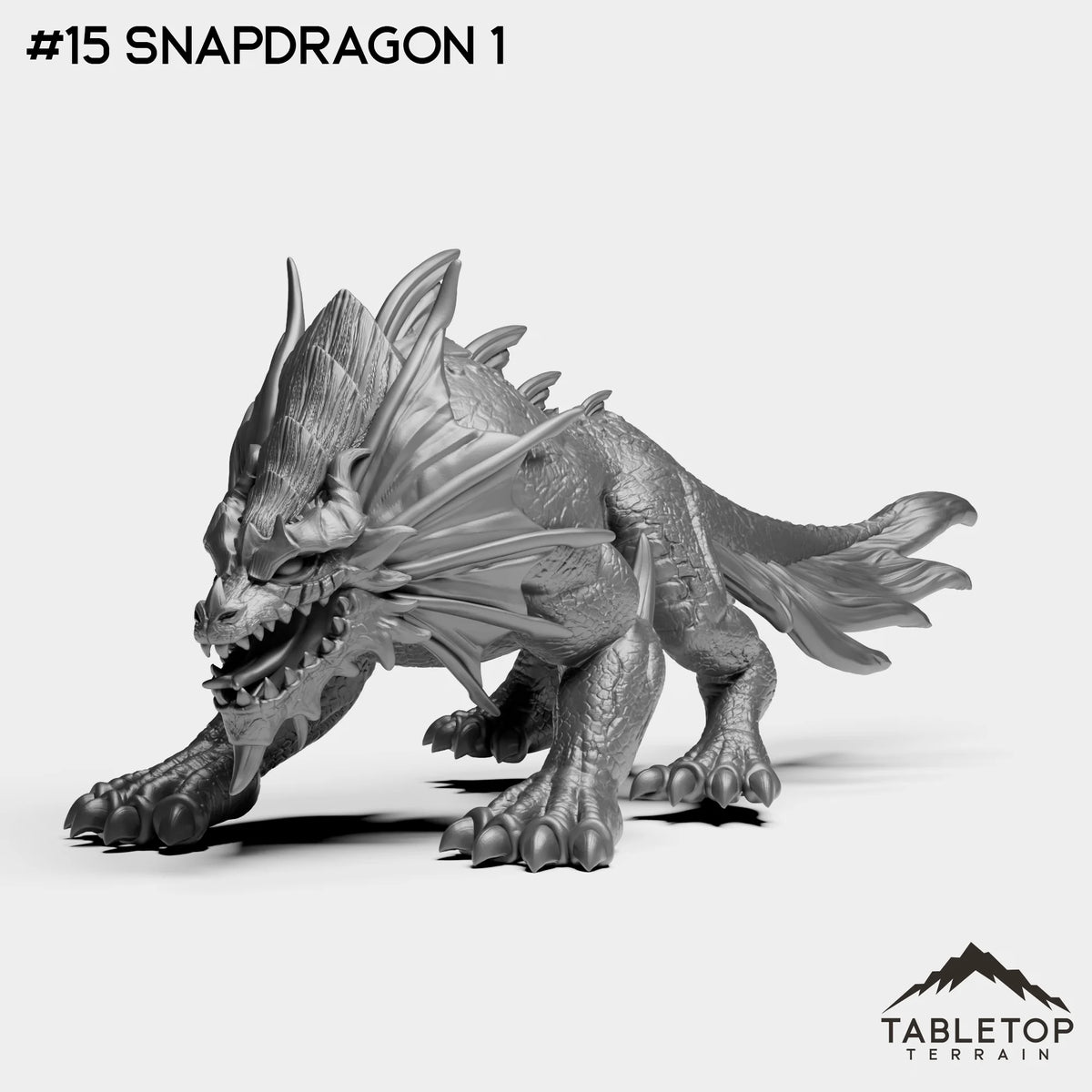 #15 Snapdragon 1