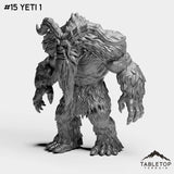 #15 Yeti 1