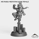 #16 Panda Meditating Monk Female