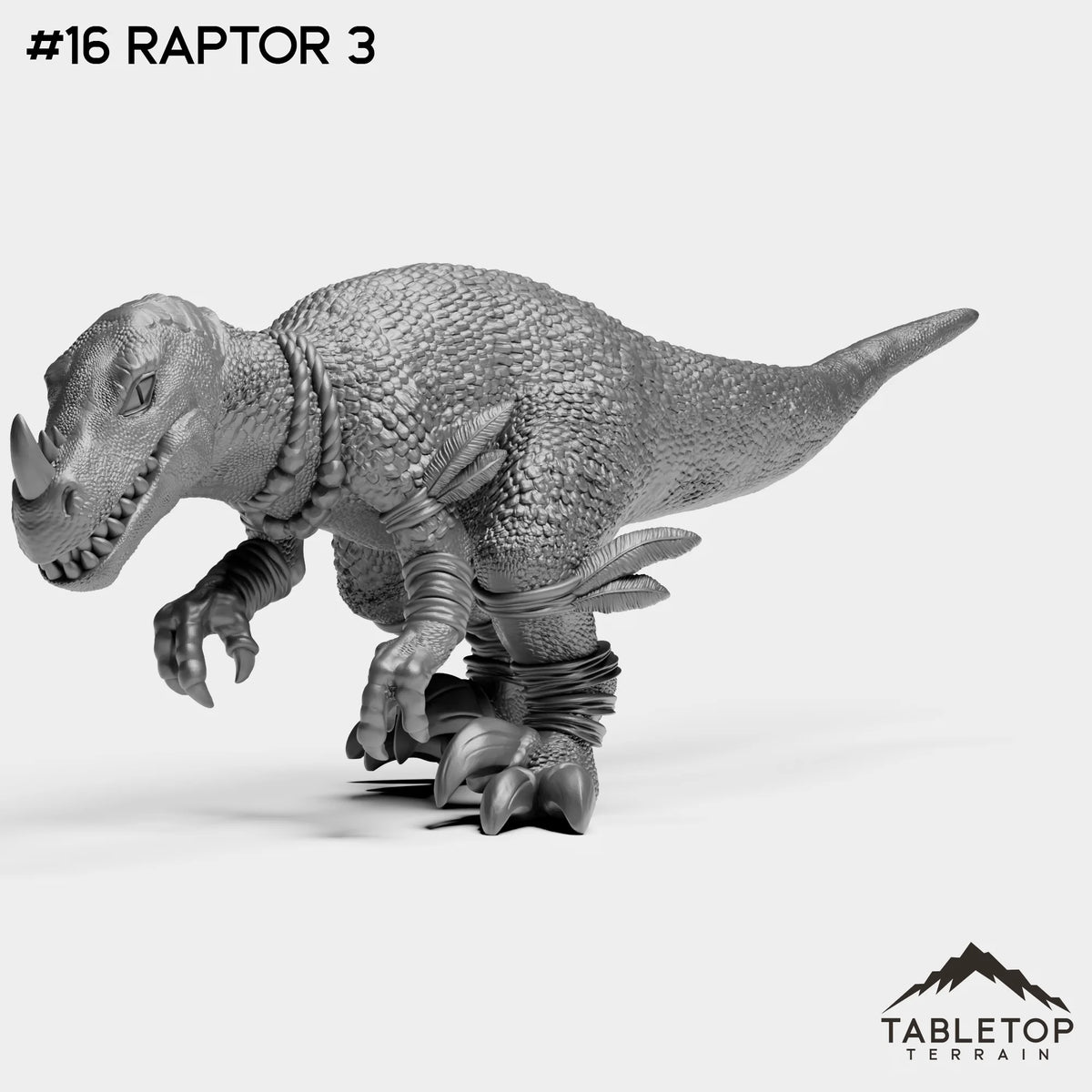 #16 Raptor 3