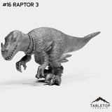#16 Raptor 3