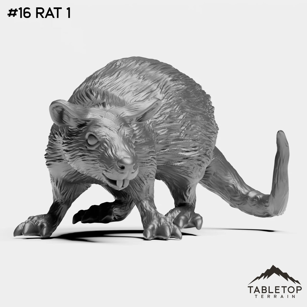 #16 Rat 1