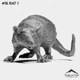 #16 Rat 1