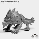#16 Snapdragon 2