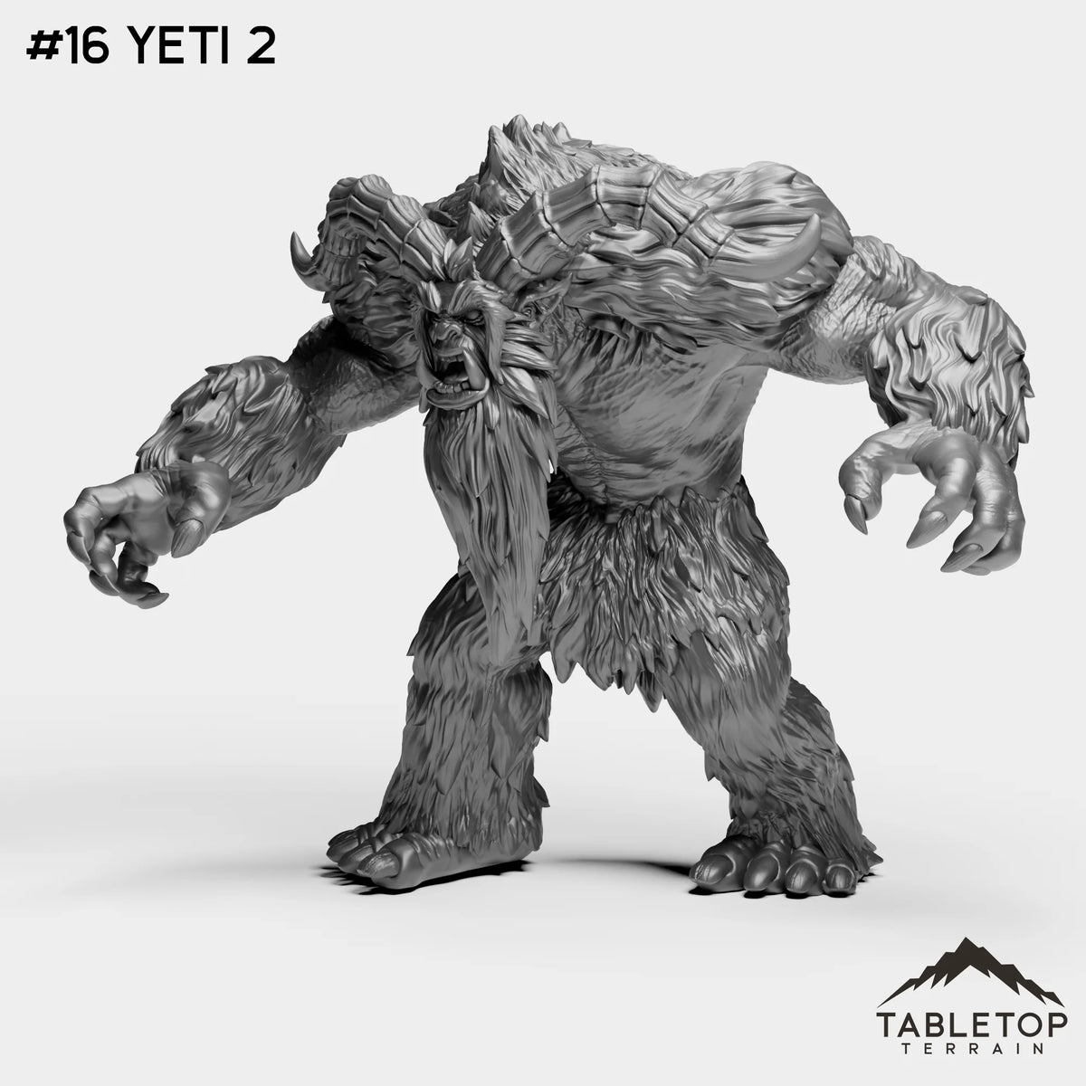#16 Yeti 2