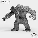 #16 Yeti 2