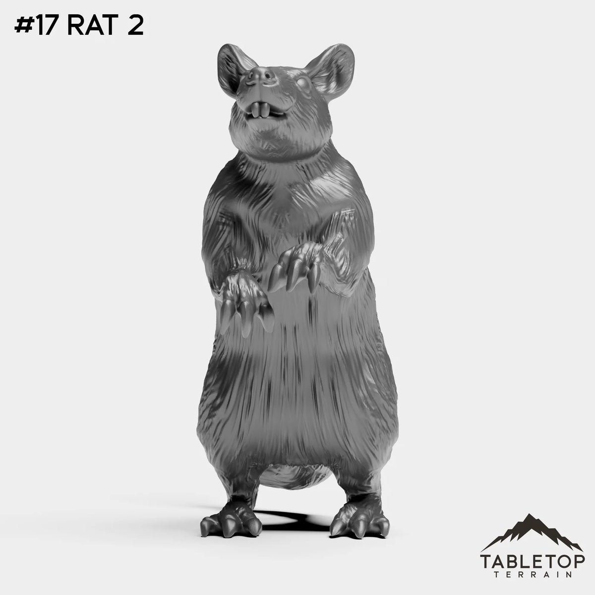 #17 Rat 2