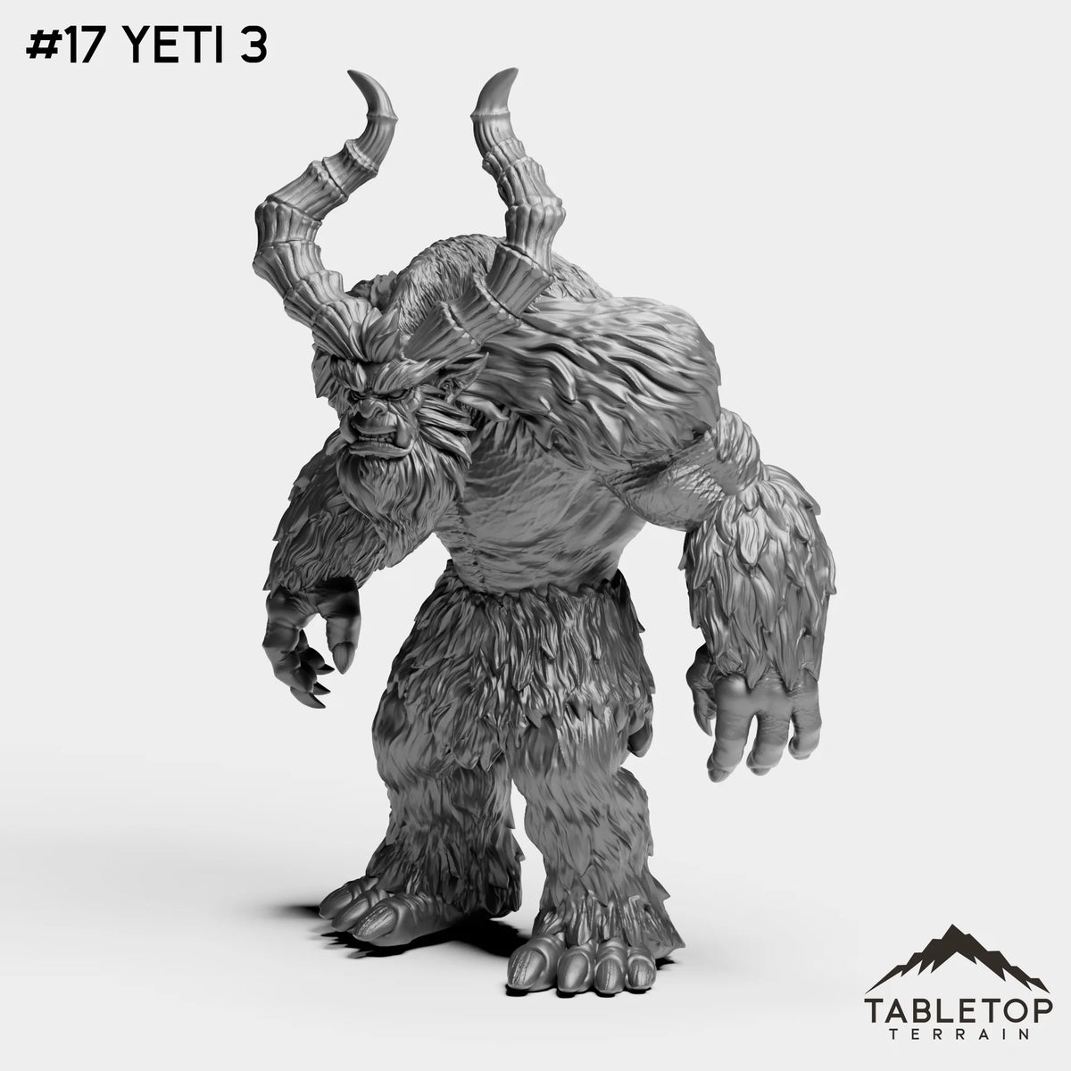 #17 Yeti 3
