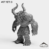 #17 Yeti 3