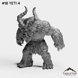 #18 Yeti 4