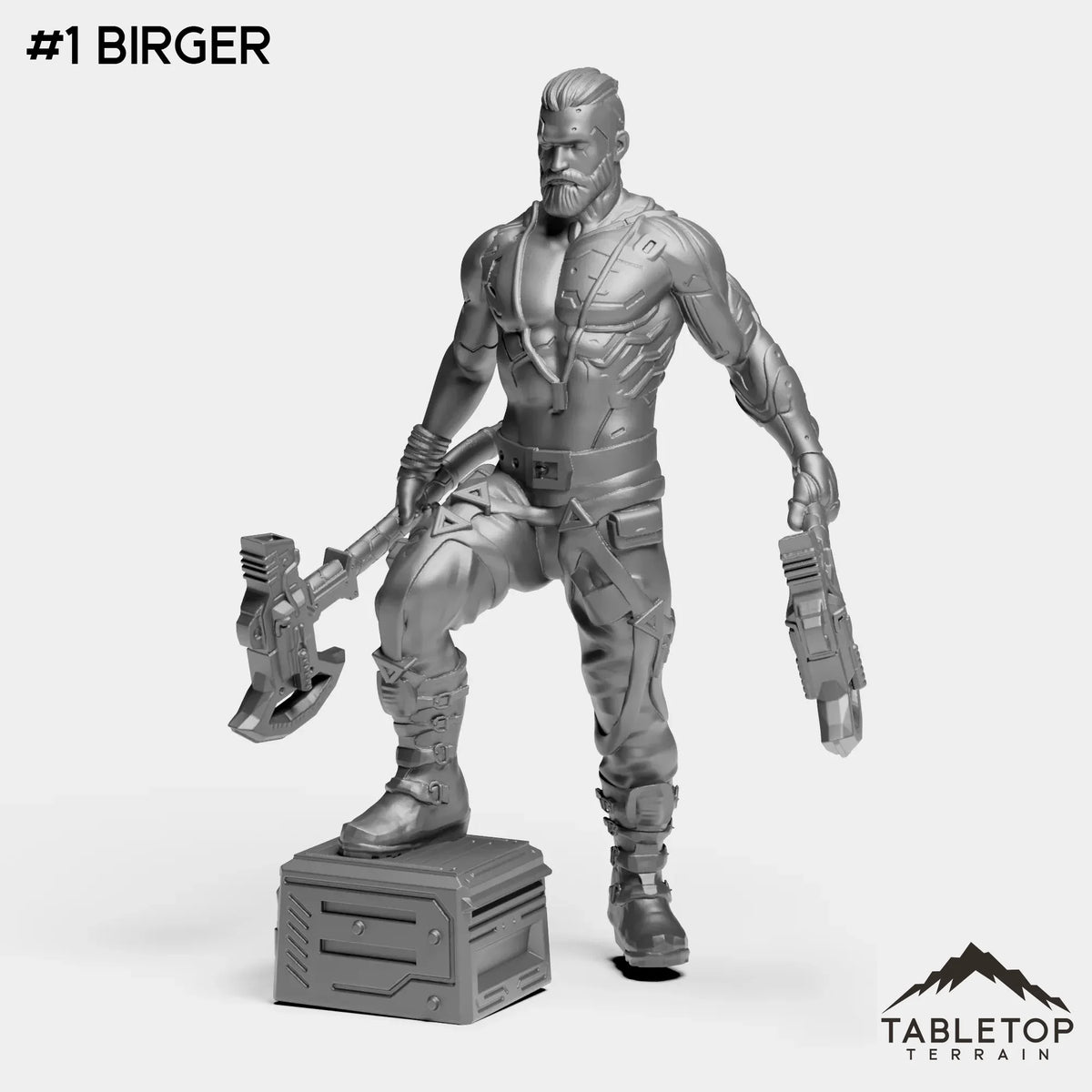 #1 Birger