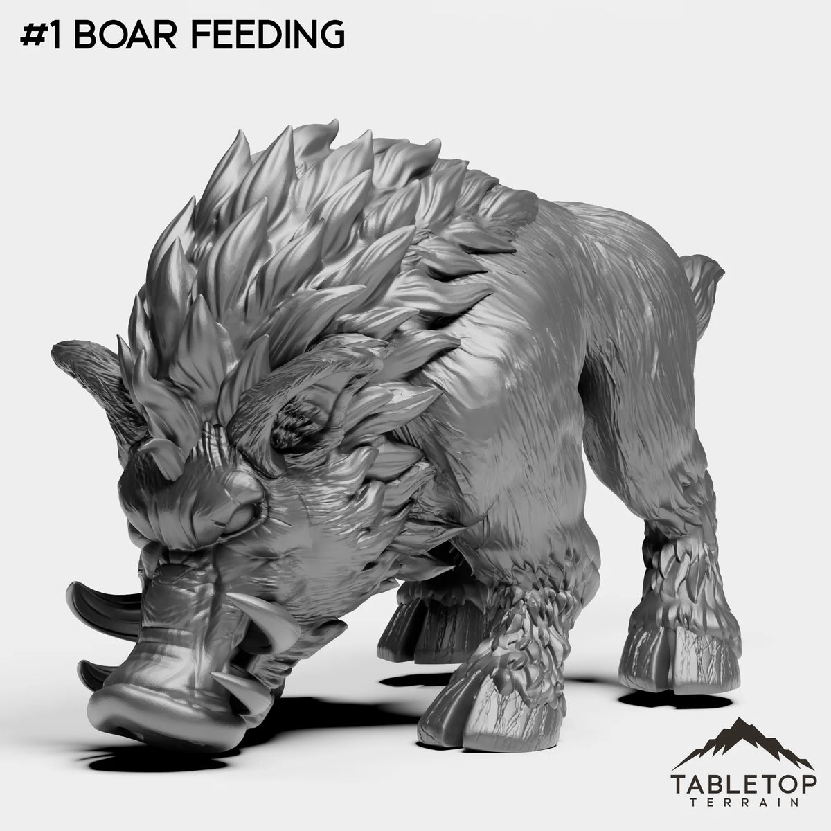 #1 Boar Feeding