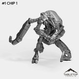 #1 Chip 1