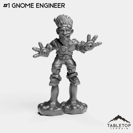 #1 Gnome Engineer