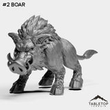 #2 Boar