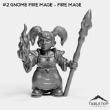 #2 Gnome Fire Mage - Fire Mage