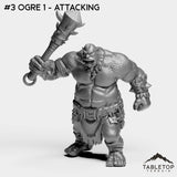 #3 Ogre 1 - Attacking