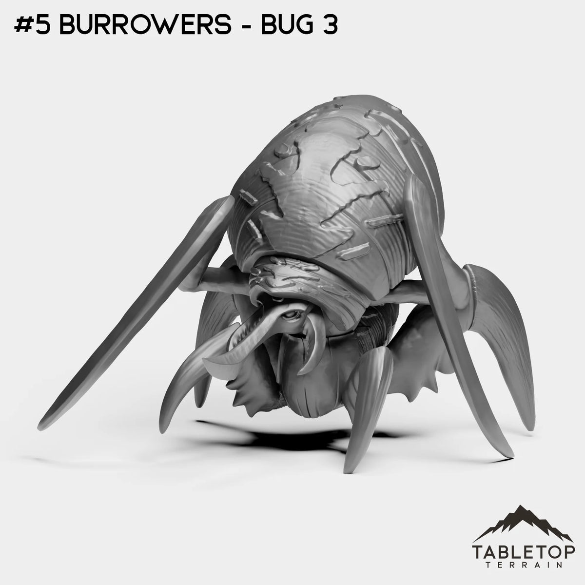 #5 Burrowers - Bug 3