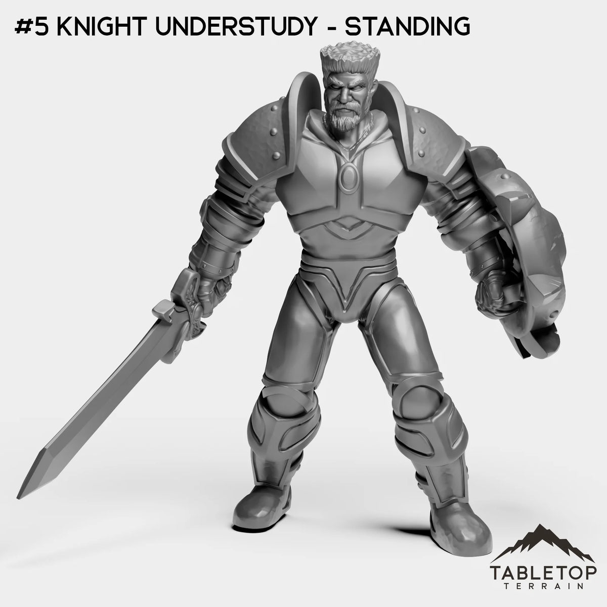 #5 Knight Understudy - Standing
