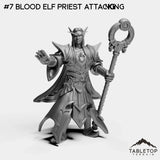 #7 Blood Elf Priest Attacking