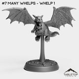 #7 Many Whelps - Whelp 1