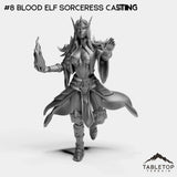 #8 Blood Elf Sorceress Casting