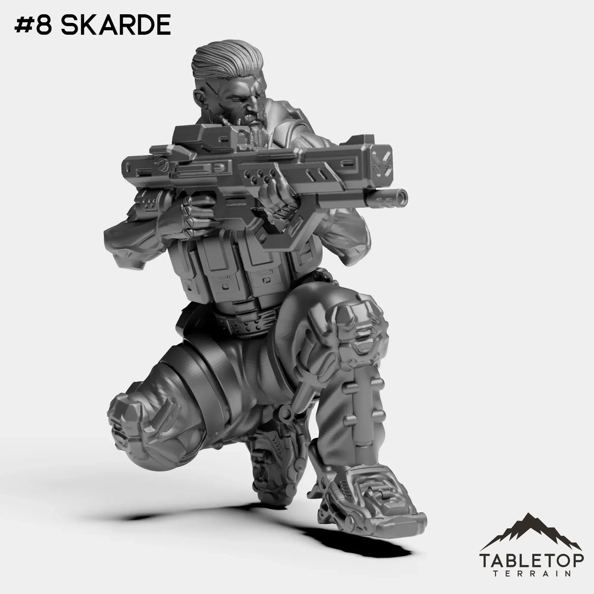 #8 Skarde