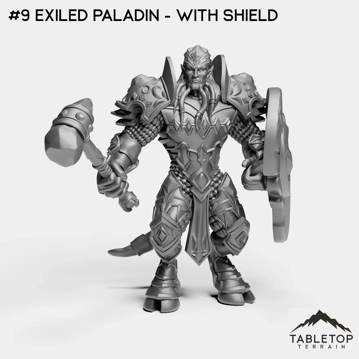 #9 Exiled Paladin - With Shield