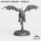 #9 Many Whelps - Whelp 3