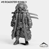 #9 Roadster Ronin 3