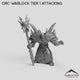 Orc Warlock Tier 1 Attacking