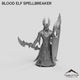 Blood Elf Spellbreaker