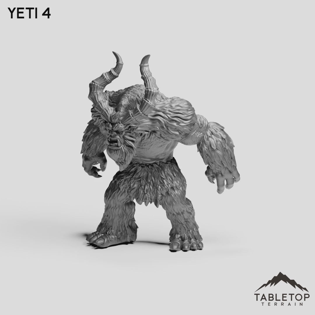 Yeti 4