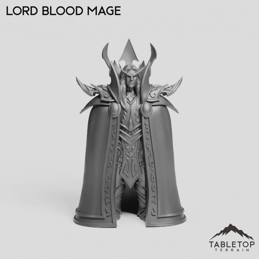 Lord Blood Mage