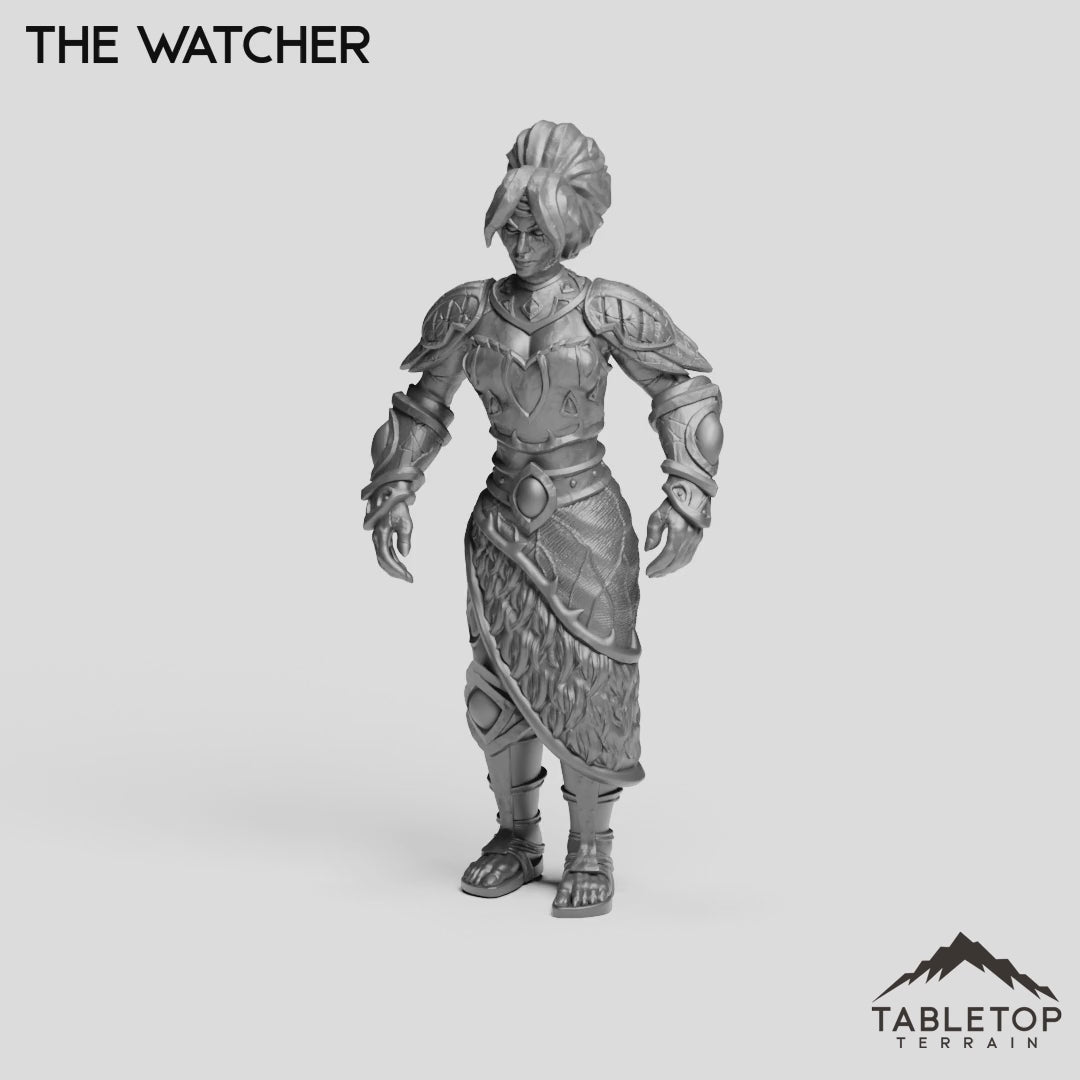 The Watcher
