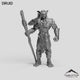 Druid