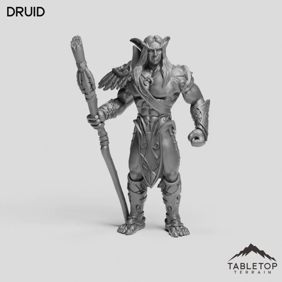 Druid