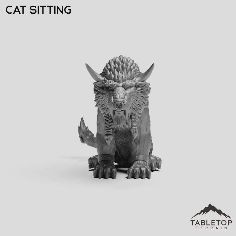 Cat Sitting