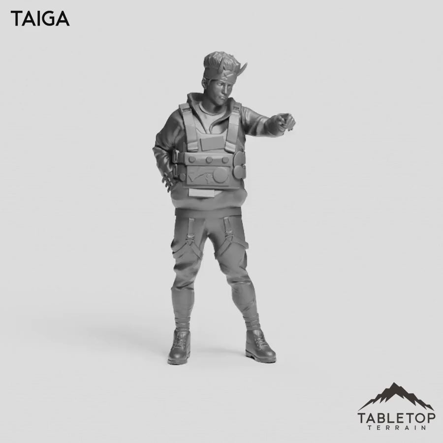 Taiga