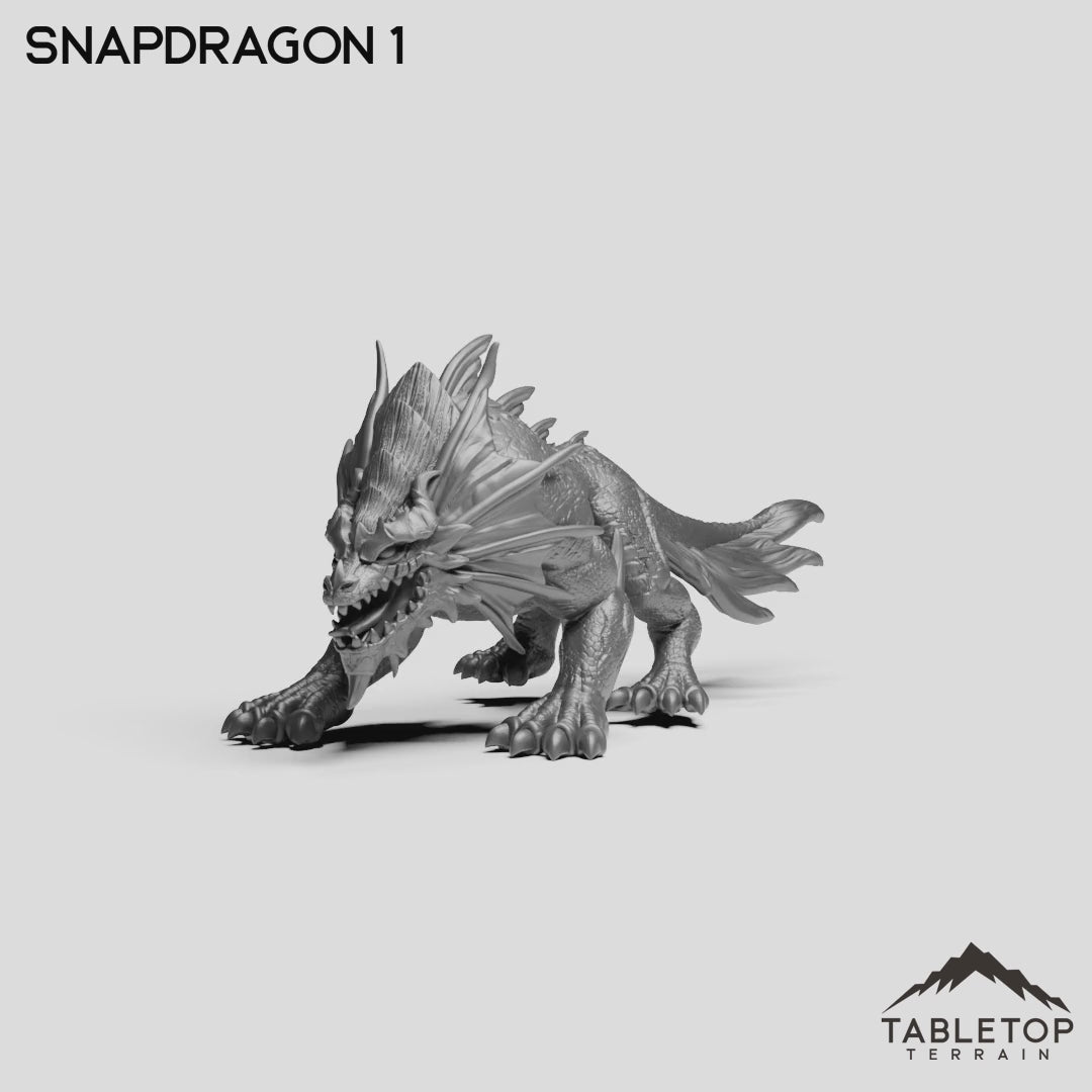 Snapdragon 1