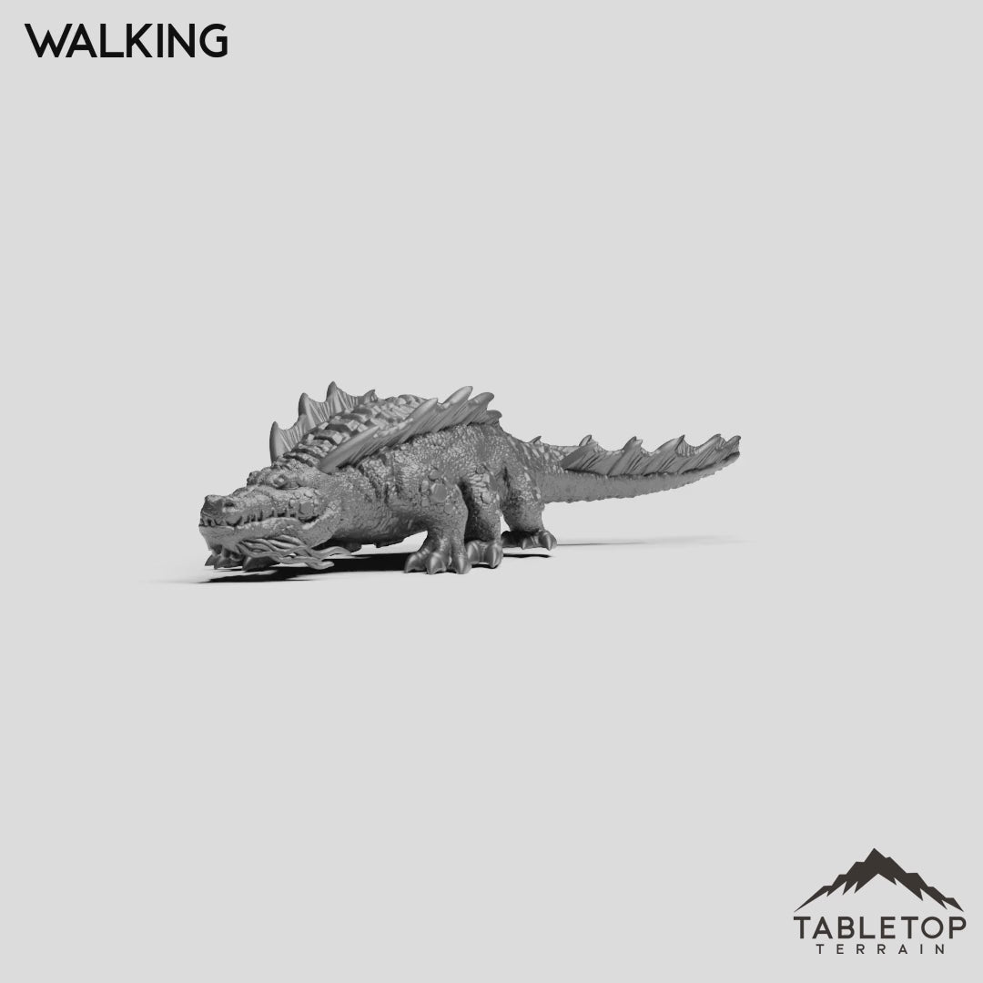 Walking