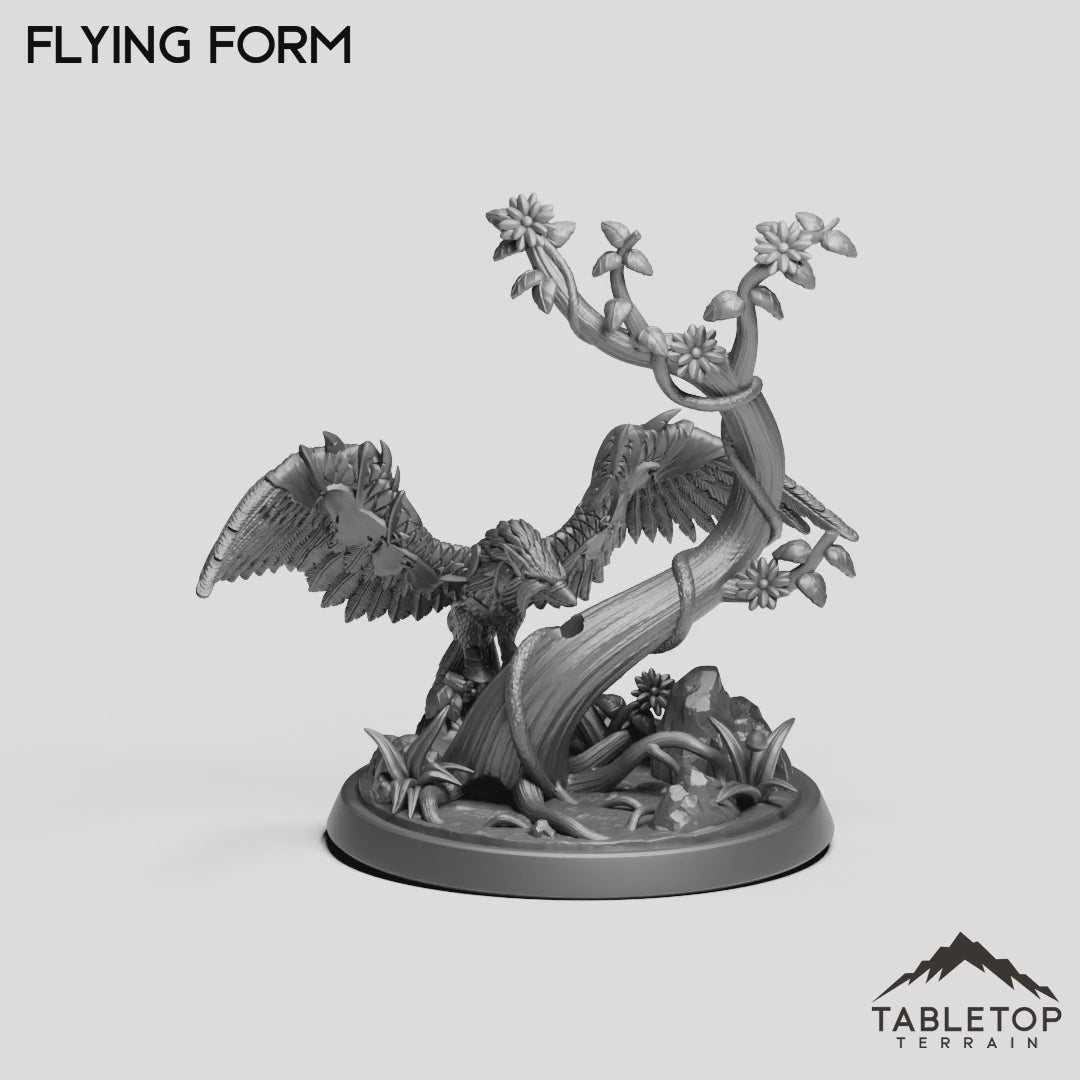 Flying Form