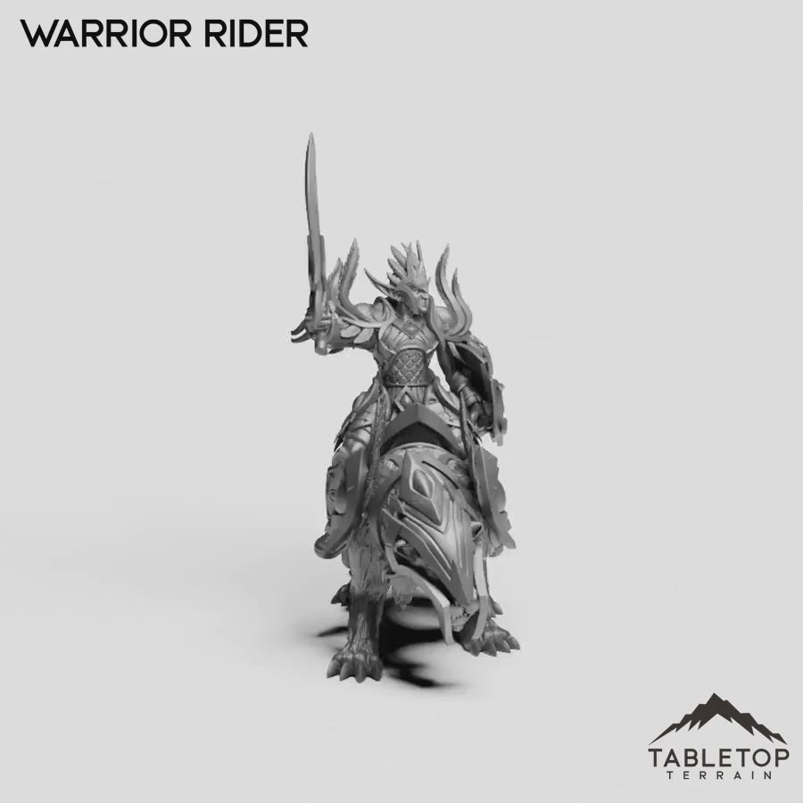 Warrior Rider